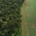 Lula e António Guterres lideram diálogo na ONU sobre o Fundo Florestas Tropicais para Sempre, que prevê US$ 25 bilhões em aportes e pode mobilizar até US$ 100 bilhões do setor privado para conservação.
