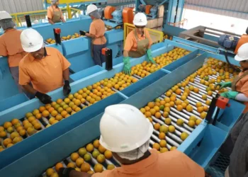 Exportações brasileiras para os EUA caíram 22,4% em agosto com tarifaço de Trump. Sobretaxas de até 50% impactam comércio bilateral e aumentam déficit do Brasil.
