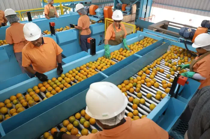 Exportações brasileiras para os EUA caíram 22,4% em agosto com tarifaço de Trump. Sobretaxas de até 50% impactam comércio bilateral e aumentam déficit do Brasil.