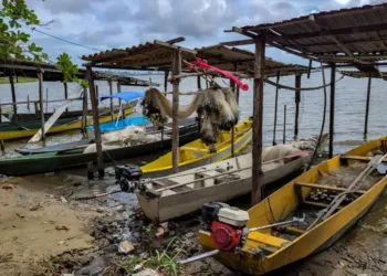A partir de outubro, o Ministério do Trabalho assumirá a habilitação do seguro-defeso, antes sob responsabilidade do Ministério da Pesca. A mudança visa combater fraudes e unificar o processo com o seguro-desemprego.
