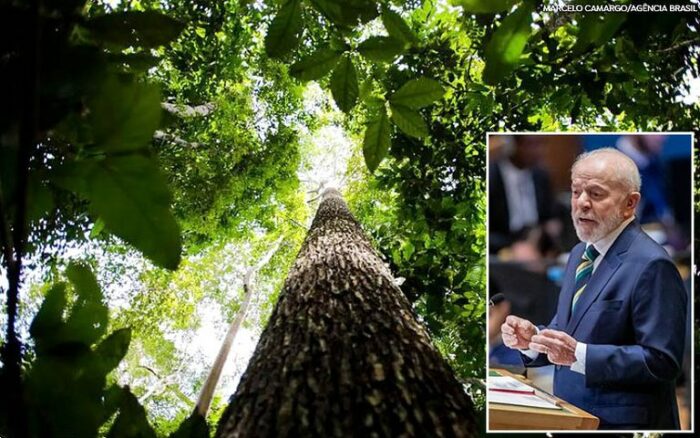 Lula anuncia aporte de US$ 1 bilhão no Fundo de Florestas Tropicais para Sempre. Iniciativa será lançada na COP 30 em Belém e busca financiar a conservação ambiental.