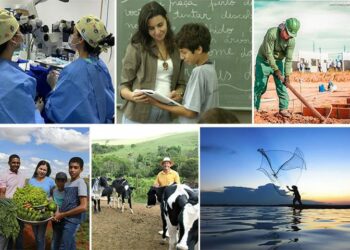 A taxa de desemprego no Brasil ficou em 5,6% no trimestre até agosto, menor nível desde 2012, segundo o IBGE. Número de empregados com carteira assinada no setor privado atingiu recorde de 39,1 milhões.