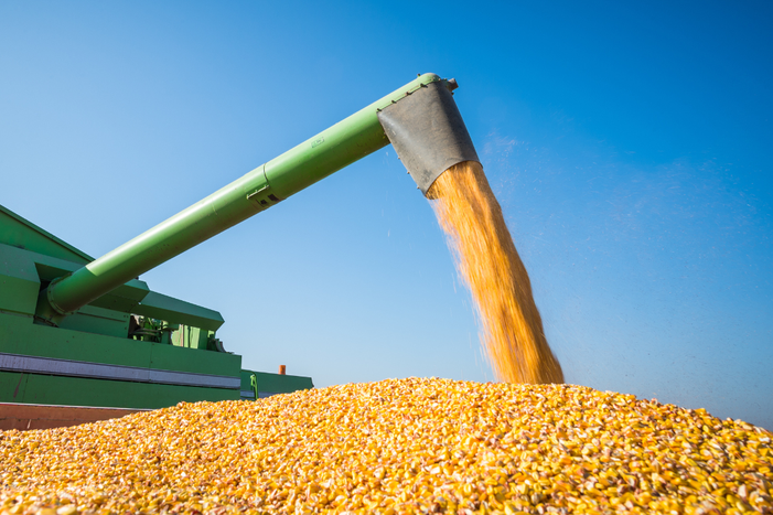 Safra 2025/26 deve atingir recorde de 353,8 milhões de toneladas de grãos e 32,3 milhões de proteínas, segundo Conab. Crédito rural e políticas públicas fortalecem agro.