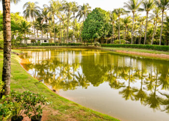 Vitória se tornou referência global em sustentabilidade com o programa “Semmam+: Mais Verde, Mais Azul, Mais Vida”, que inclui plantio de árvores, recuperação de vegetação, limpeza das praias e educação ambiental.