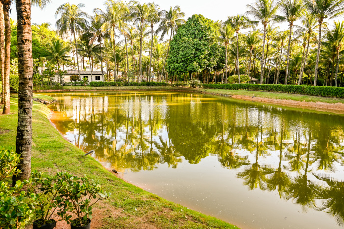 Vitória se tornou referência global em sustentabilidade com o programa “Semmam+: Mais Verde, Mais Azul, Mais Vida”, que inclui plantio de árvores, recuperação de vegetação, limpeza das praias e educação ambiental.