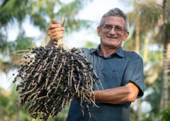 MEC destina R$ 13 milhões via Pronatec para capacitar 6.500 trabalhadores da Amazônia Legal em cursos de bioeconomia até 2026, promovendo desenvolvimento sustentável e geração de renda.