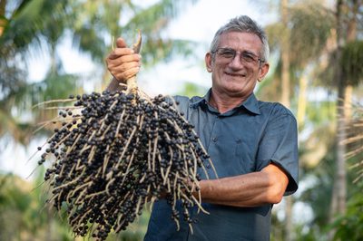 MEC destina R$ 13 milhões via Pronatec para capacitar 6.500 trabalhadores da Amazônia Legal em cursos de bioeconomia até 2026, promovendo desenvolvimento sustentável e geração de renda.