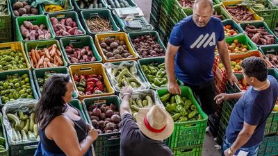 Governo Federal anuncia resultados: pobreza cai 25% em dois anos, alimentos registram deflação em agosto, safra de grãos bate recorde, programas fortalecem Amazônia, educação e aposentados.