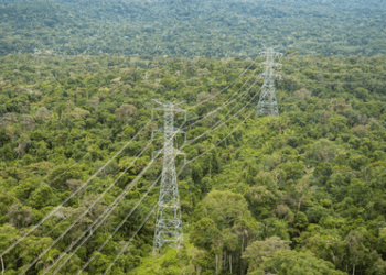 Com o Linhão Manaus–Boa Vista, Roraima se integra ao Sistema Nacional, garante energia estável, reduz custos e se torna polo estratégico para investimentos em agronegócio, turismo, tecnologia e conectividade.