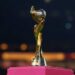 O Brasil será sede da Copa do Mundo Feminina FIFA 2027. O Ministério do Esporte coordenará os comitês CGCOPA e GECOPA para organizar o evento com apoio de 23 órgãos federais.