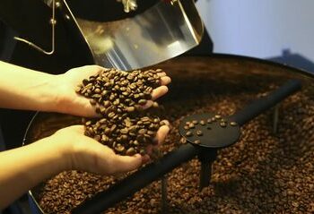 O faturamento bruto da cafeicultura brasileira deve alcançar R$ 119 bilhões em 2025, registrando crescimento de 170% em dez anos. Região Nordeste apresenta aumento de 382,8%, enquanto o Sudeste segue como maior produtora.