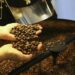 O faturamento bruto da cafeicultura brasileira deve alcançar R$ 119 bilhões em 2025, registrando crescimento de 170% em dez anos. Região Nordeste apresenta aumento de 382,8%, enquanto o Sudeste segue como maior produtora.