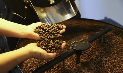 O faturamento bruto da cafeicultura brasileira deve alcançar R$ 119 bilhões em 2025, registrando crescimento de 170% em dez anos. Região Nordeste apresenta aumento de 382,8%, enquanto o Sudeste segue como maior produtora.