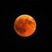 O Observatório Nacional vai retransmitir neste domingo (7) o eclipse total da Lua em live no YouTube. O fenômeno, invisível no Brasil, poderá ser acompanhado com explicações de astrônomos.