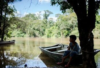 O Bolsa Verde beneficiou 70 mil famílias em setembro, antecipando meta de 2025. Programa paga R$ 600 trimestrais para quem preserva áreas ambientais e já protege 30 milhões de hectares no Brasil.