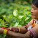 GEF aprova projeto global de microfinanças de US$ 9,2 milhões. No Brasil, foco será em comunidades indígenas, fortalecendo soluções sustentáveis e de adaptação climática.