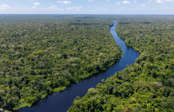 No Dia da Amazônia, o Brasil reafirma seu protagonismo climático. Belém sediará a COP30 em novembro, com foco na preservação e no desenvolvimento sustentável da floresta amazônica.