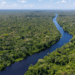 No Dia da Amazônia, o Brasil reafirma seu protagonismo climático. Belém sediará a COP30 em novembro, com foco na preservação e no desenvolvimento sustentável da floresta amazônica.