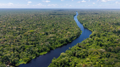 No Dia da Amazônia, o Brasil reafirma seu protagonismo climático. Belém sediará a COP30 em novembro, com foco na preservação e no desenvolvimento sustentável da floresta amazônica.