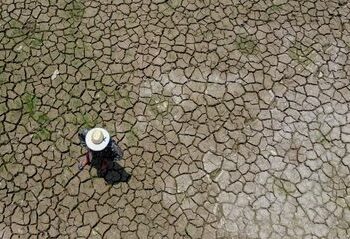 MMA debate tecnologias para reverter processos de desertificação