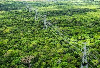 O presidente Lula acompanhou o início da operação do Linhão Manaus-Boa Vista, que conecta Roraima ao Sistema Interligado Nacional. A obra garante energia limpa, estável e economia de R$ 600 milhões por ano.