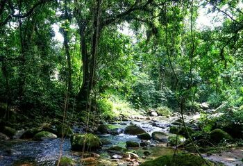 Governo institui o Programa Natureza com as Pessoas para fomentar o turismo sustentável em Unidades de Conservação. A iniciativa promove ecoturismo, inclusão comunitária e preservação da biodiversidade.