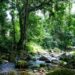 Governo institui o Programa Natureza com as Pessoas para fomentar o turismo sustentável em Unidades de Conservação. A iniciativa promove ecoturismo, inclusão comunitária e preservação da biodiversidade.