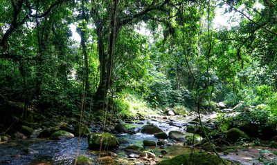 Governo institui o Programa Natureza com as Pessoas para fomentar o turismo sustentável em Unidades de Conservação. A iniciativa promove ecoturismo, inclusão comunitária e preservação da biodiversidade.