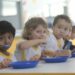 O Brasil, ao lado da França e Finlândia, preside a 2ª Cúpula Global da Coalizão para a Alimentação Escolar, reunindo 100 países para promover nutrição, educação e agricultura familiar.