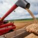 A Conab realizará leilões nos dias 10 e 11 de setembro para escoar 32,4 mil toneladas de feijão da safra 2024/2025, com investimento de até R$ 21,7 milhões para apoiar produtores do Sul do país.