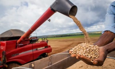 A Conab realizará leilões nos dias 10 e 11 de setembro para escoar 32,4 mil toneladas de feijão da safra 2024/2025, com investimento de até R$ 21,7 milhões para apoiar produtores do Sul do país.