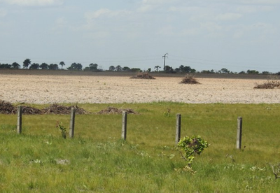 Deter NF amplia monitoramento da Amazônia Legal com uso de inteligência artificial. Sistema do Inpe e MMA detecta desmatamento e degradação em áreas não florestais, fortalecendo o combate às irregularidades ambientais.