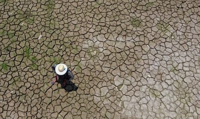 MMA debate tecnologias para reverter processos de desertificação