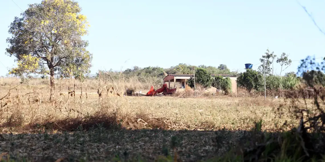 Conflito em Antinha de Baixo (GO) opõe fazendeiros e quilombolas. Incra investiga a área de 1,5 mil hectares após autodefinição reconhecida pela Fundação Palmares.