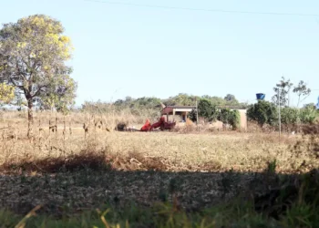 Conflito em Antinha de Baixo (GO) opõe fazendeiros e quilombolas. Incra investiga a área de 1,5 mil hectares após autodefinição reconhecida pela Fundação Palmares.