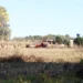 Conflito em Antinha de Baixo (GO) opõe fazendeiros e quilombolas. Incra investiga a área de 1,5 mil hectares após autodefinição reconhecida pela Fundação Palmares.