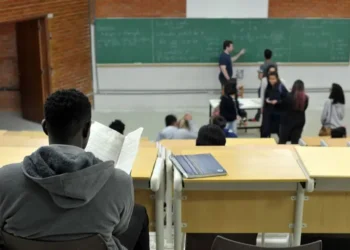 MEC e Capes abrem 7,8 mil vagas em mestrado e doutorado gratuitos para professores da rede pública. Inscrições vão até novembro em áreas como biologia, história e educação inclusiva.
