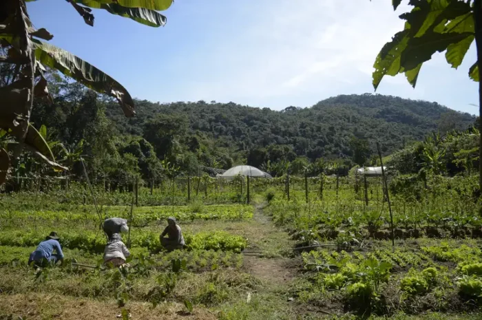 O presidente Lula assinou MP que libera R$ 12 bilhões para renegociação de dívidas rurais. A medida atende até 100 mil agricultores afetados por secas e enchentes, com prazos de nove anos e juros reduzidos.