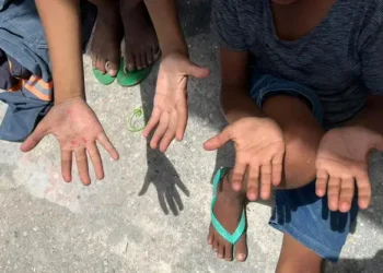 IBGE aponta aumento de 22% no trabalho infantil entre crianças de 5 a 9 anos em 2024, o maior da série histórica. Fundação Maria Cecilia cobra políticas públicas urgentes.