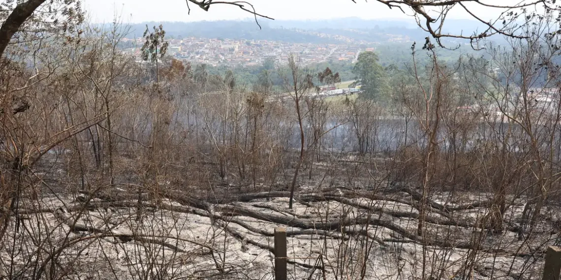 São Paulo enfrenta seca intensa e risco extremo de incêndios. Defesa Civil emite alerta vermelho e reservatórios operam próximos do nível crítico.