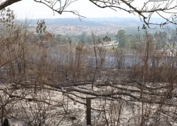 São Paulo enfrenta seca intensa e risco extremo de incêndios. Defesa Civil emite alerta vermelho e reservatórios operam próximos do nível crítico.