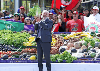 IBGE aponta queda da fome no Brasil: 26,5 milhões de pessoas saíram da insegurança alimentar desde 2022; Lula celebra avanços do Plano Brasil Sem Fome.