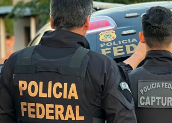 PF apreende maconha, passaporte restrito e 18 pássaros silvestres em situação de maus-tratos em operação no Aeroporto de Guarulhos. Estrangeiro foi preso.