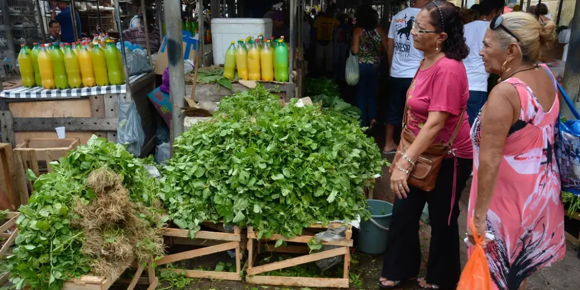 O Governo lança o programa Mercado do Povo com 136 unidades modulares para apoiar agricultores familiares, gerar empregos e ampliar o acesso da população a alimentos frescos.