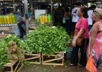 O Governo lança o programa Mercado do Povo com 136 unidades modulares para apoiar agricultores familiares, gerar empregos e ampliar o acesso da população a alimentos frescos.