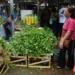 O Governo lança o programa Mercado do Povo com 136 unidades modulares para apoiar agricultores familiares, gerar empregos e ampliar o acesso da população a alimentos frescos.