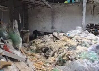 Mais de 40 animais foram resgatados em uma ação conjunta entre a DEPMA e a Prefeitura de Cariacica. Eles estavam em situação de maus-tratos em um terreno com lixo e esgoto na Rodovia José Sette.
