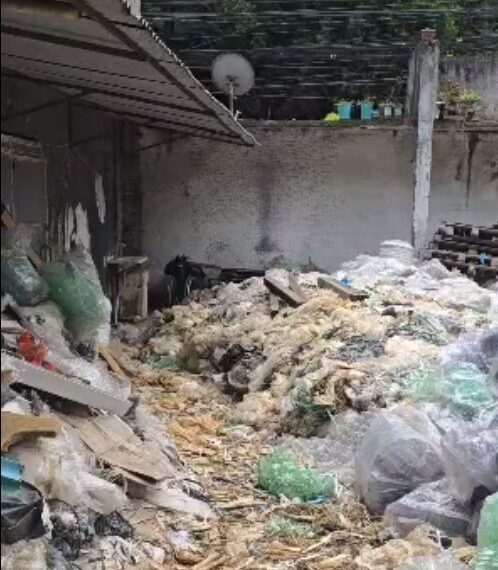 Mais de 40 animais foram resgatados em uma ação conjunta entre a DEPMA e a Prefeitura de Cariacica. Eles estavam em situação de maus-tratos em um terreno com lixo e esgoto na Rodovia José Sette.