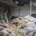 Mais de 40 animais foram resgatados em uma ação conjunta entre a DEPMA e a Prefeitura de Cariacica. Eles estavam em situação de maus-tratos em um terreno com lixo e esgoto na Rodovia José Sette.