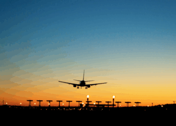 Projeto inovador do Aeroporto de Vitória reduz colisões com aves em 64% e conquista prêmio internacional. Iniciativa alia segurança operacional e preservação ambiental.